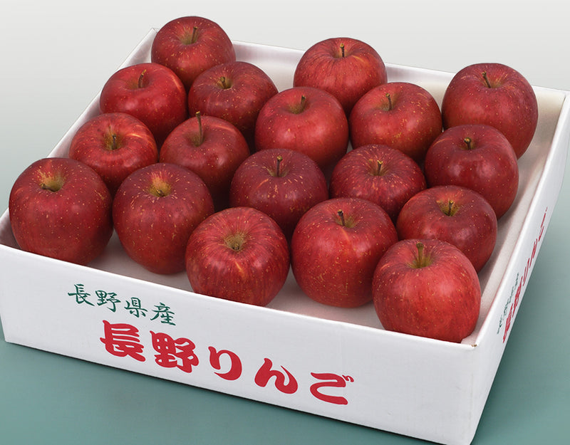 【お歳暮企画】長野県産 サンふじりんご 約4.8kg