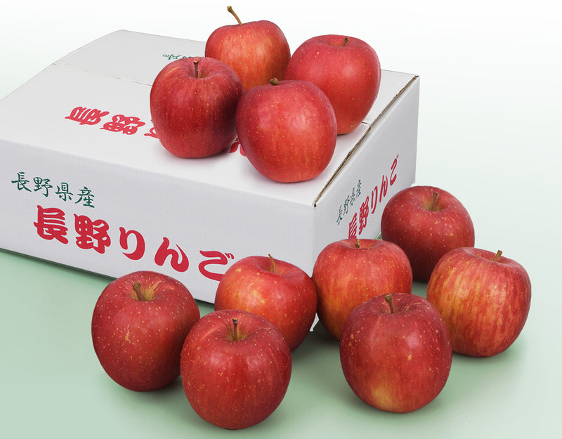 【お歳暮企画】長野県産 サンふじりんご 約2.8kg