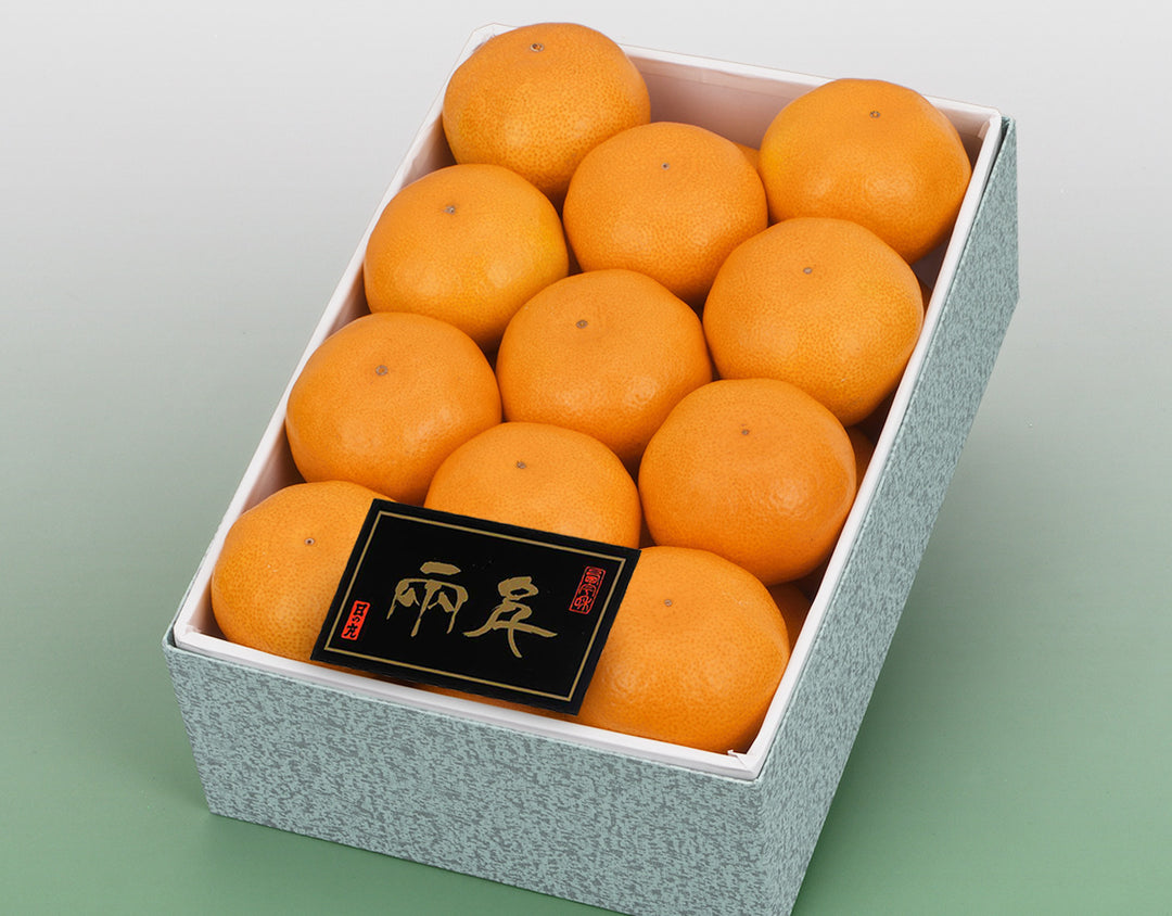 愛媛県産 日の丸みかん 化粧箱 21玉～25玉 約2.5kg