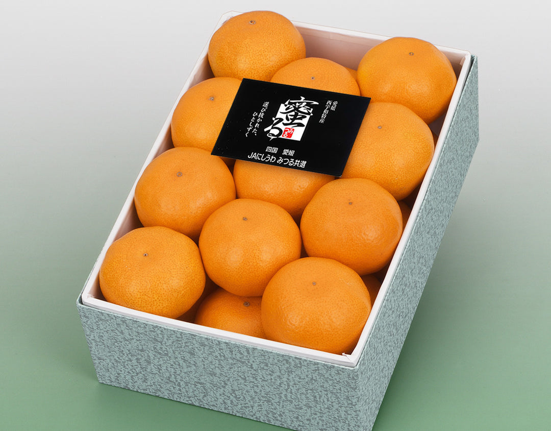 愛媛県産 蜜るみかん 化粧箱 21玉～25玉