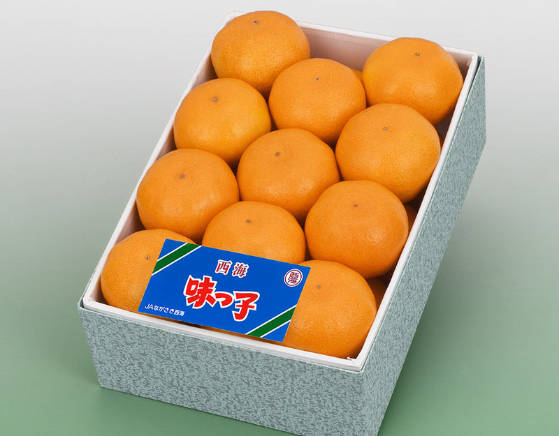 長崎県産 味っ子みかん 化粧箱 21玉～25玉 約2.5kg