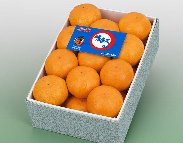 長崎県産 味まるみかん 化粧箱 21玉～25玉 約2.5kg