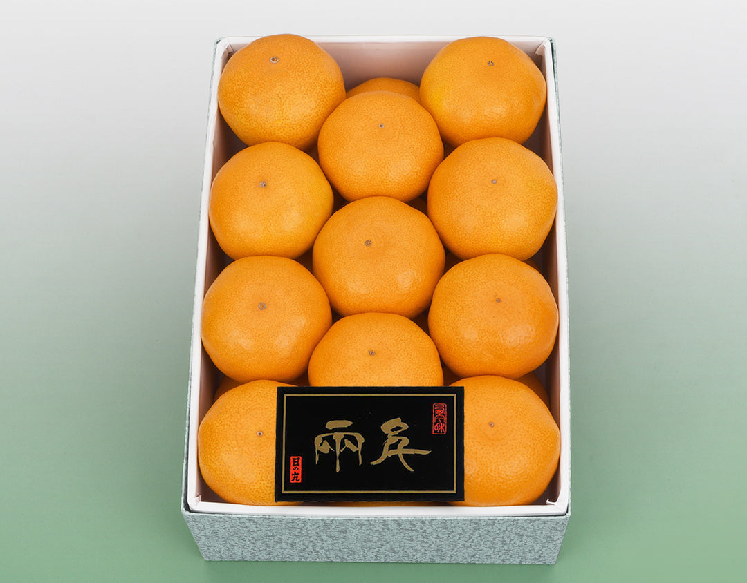 愛媛県産 日の丸みかん 化粧箱 21玉～25玉 約2.5kg