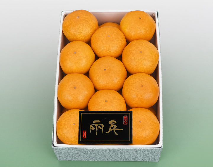 愛媛県産 日の丸みかん 化粧箱 21玉～25玉 約2.5kg