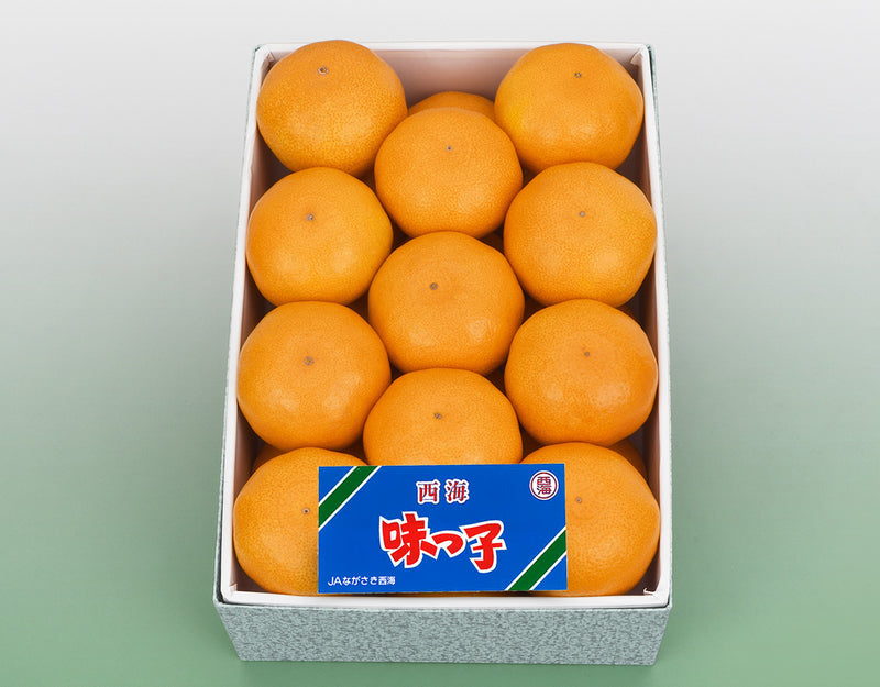 長崎県産 味っ子みかん 化粧箱 21玉～25玉 約2.5kg