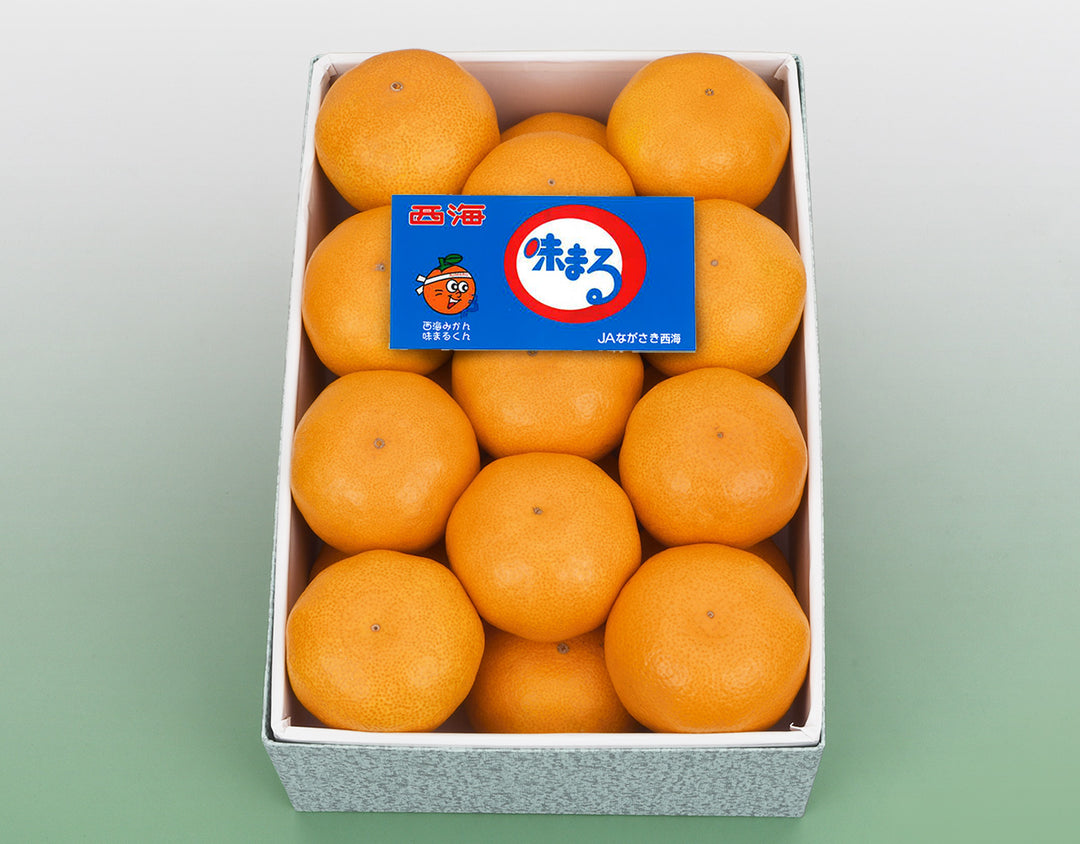 長崎県産 味まるみかん 化粧箱 21玉～25玉 約2.5kg