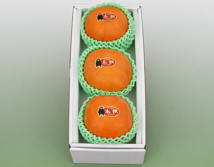 熊本県産 太秋柿 秀品 3玉