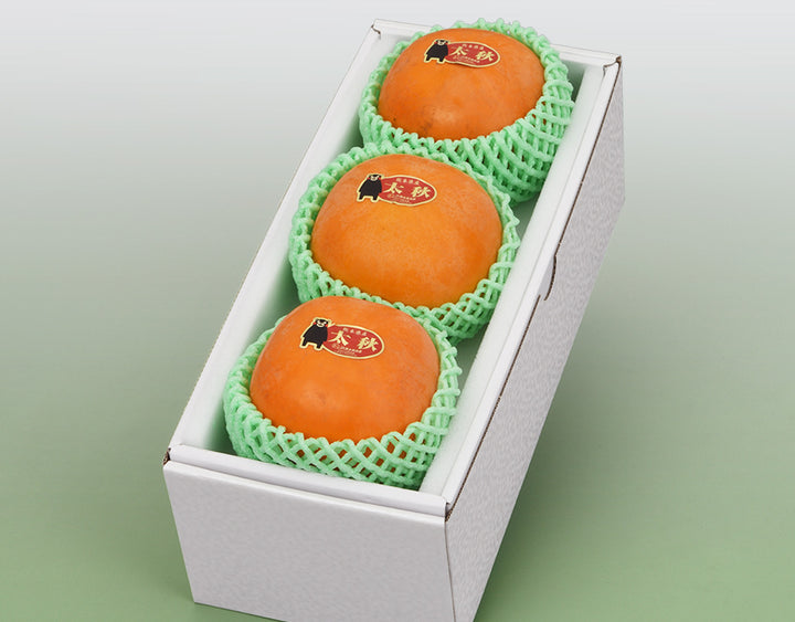 熊本県産 太秋柿 秀品 3玉