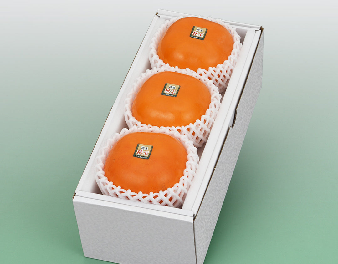 福岡県産 博多 秋王柿 秀品 3玉（約900g）