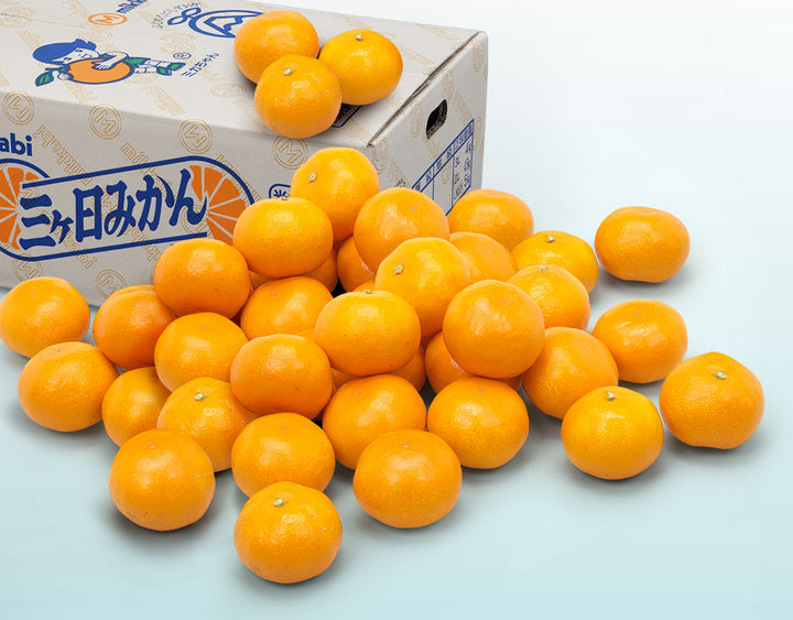 【お歳暮企画】静岡県産 三ケ日早生みかん 約4.8kg