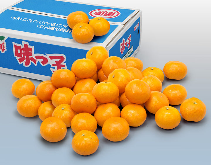 長崎県産 味っ子みかん 〇秀品 約5㎏