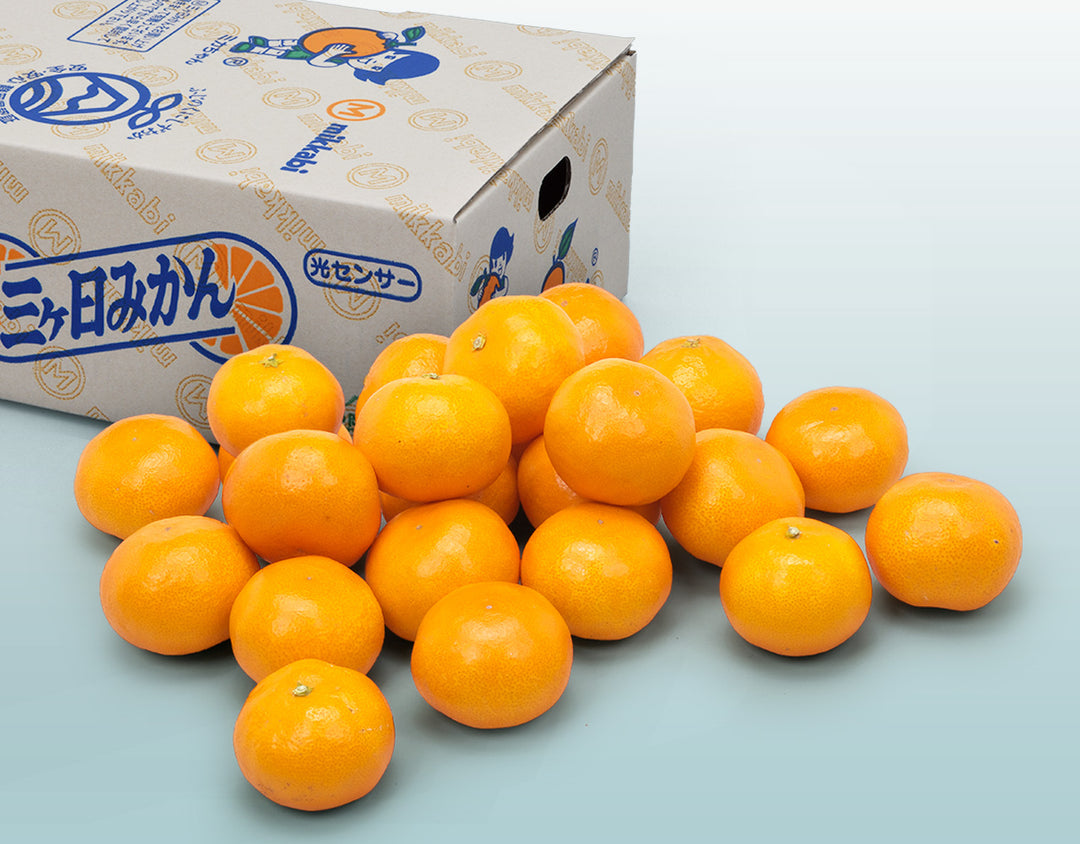 【お歳暮企画】静岡県産 三ケ日 早生みかん 約2.8kg