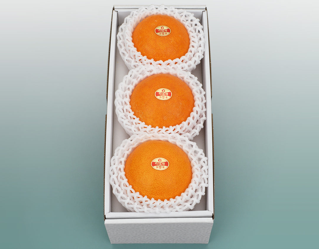 愛媛県産 紅まどんな 秀品 化粧箱 3玉