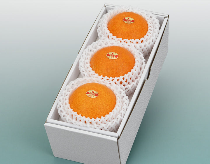 愛媛県産 紅まどんな 秀品 化粧箱 3玉