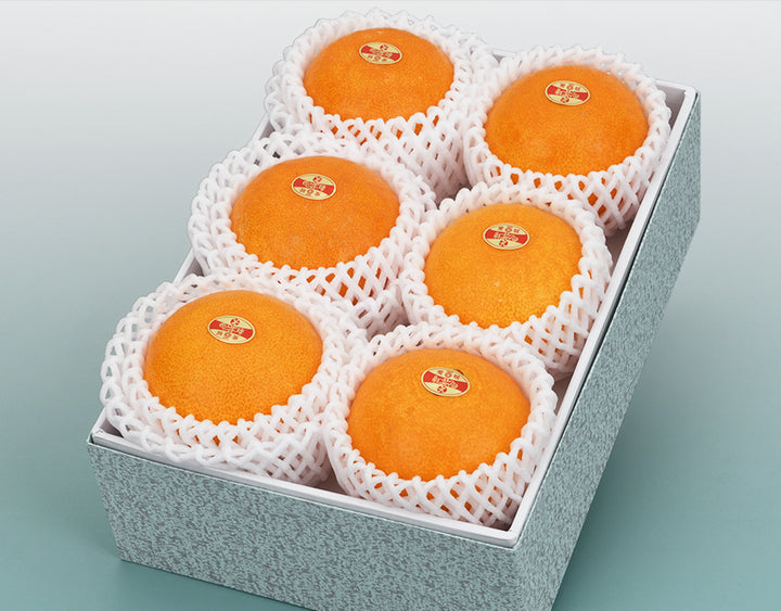 愛媛県産 紅まどんな 秀品 6玉 約1.7kg