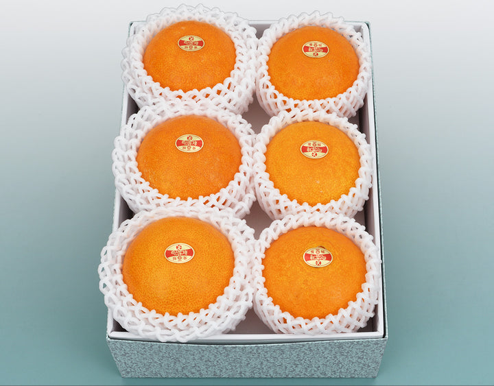 愛媛県産 紅まどんな 秀品 6玉 約1.7kg