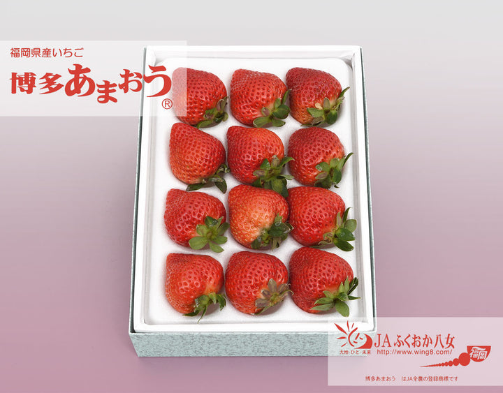 博多あまおう苺 EX （9~12粒） 約400g