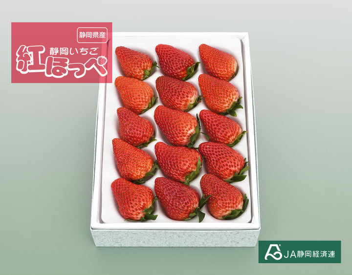 静岡県産 紅ほっぺ 静岡のいちご 約400g(12粒～18粒)