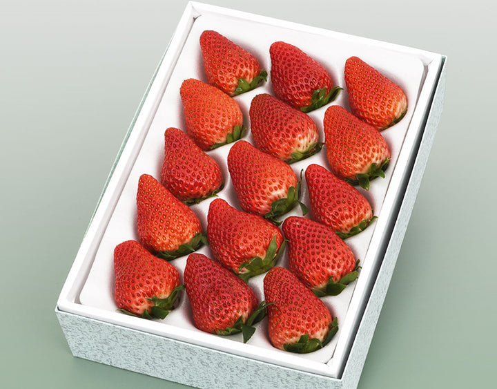 静岡県産 紅ほっぺ 静岡のいちご 約400g(12粒～18粒)