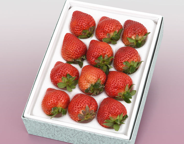 博多あまおう苺 EX （9~12粒） 約400g