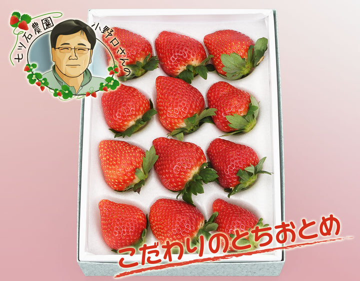 栃木県産 小野口農園 こだわり苺 化粧箱 約400g(12粒～15粒)