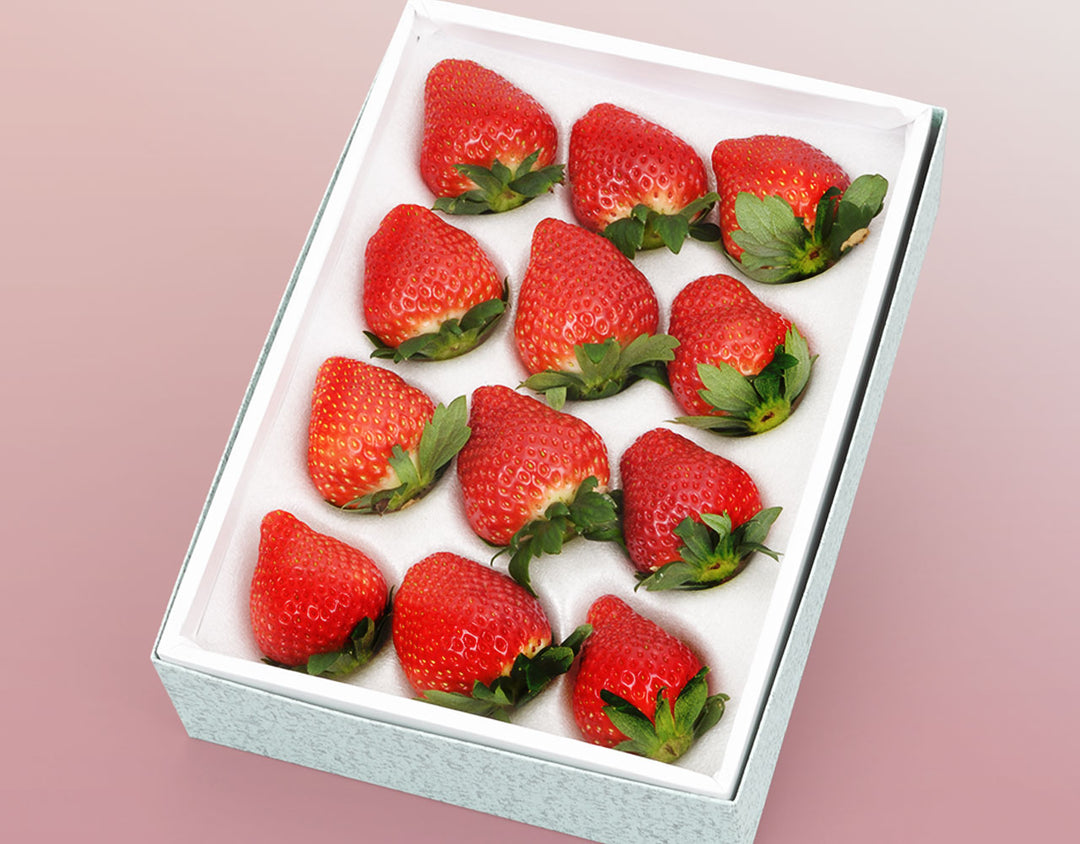 栃木県産 小野口農園 こだわり苺 化粧箱 約400g(12粒～15粒)