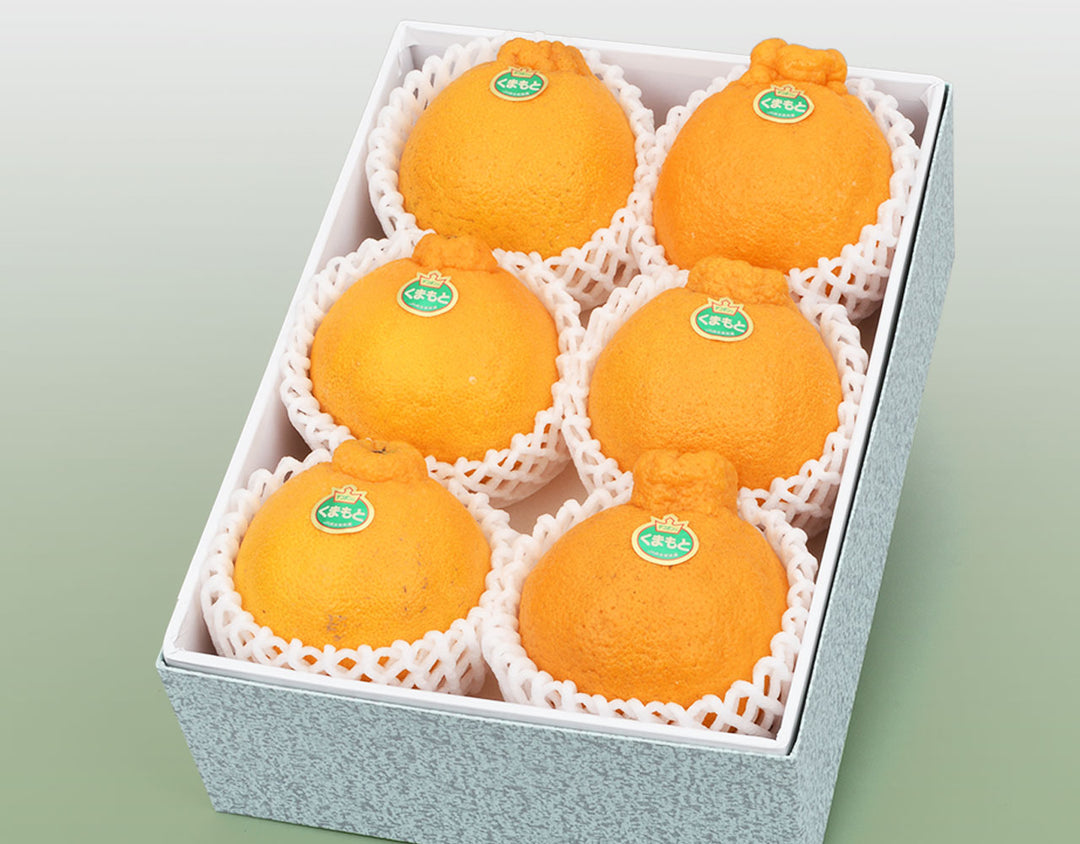 熊本県産 デコポン 化粧箱 6玉