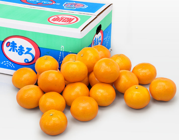 長崎県産 味まるみかん 秀品 約3kg