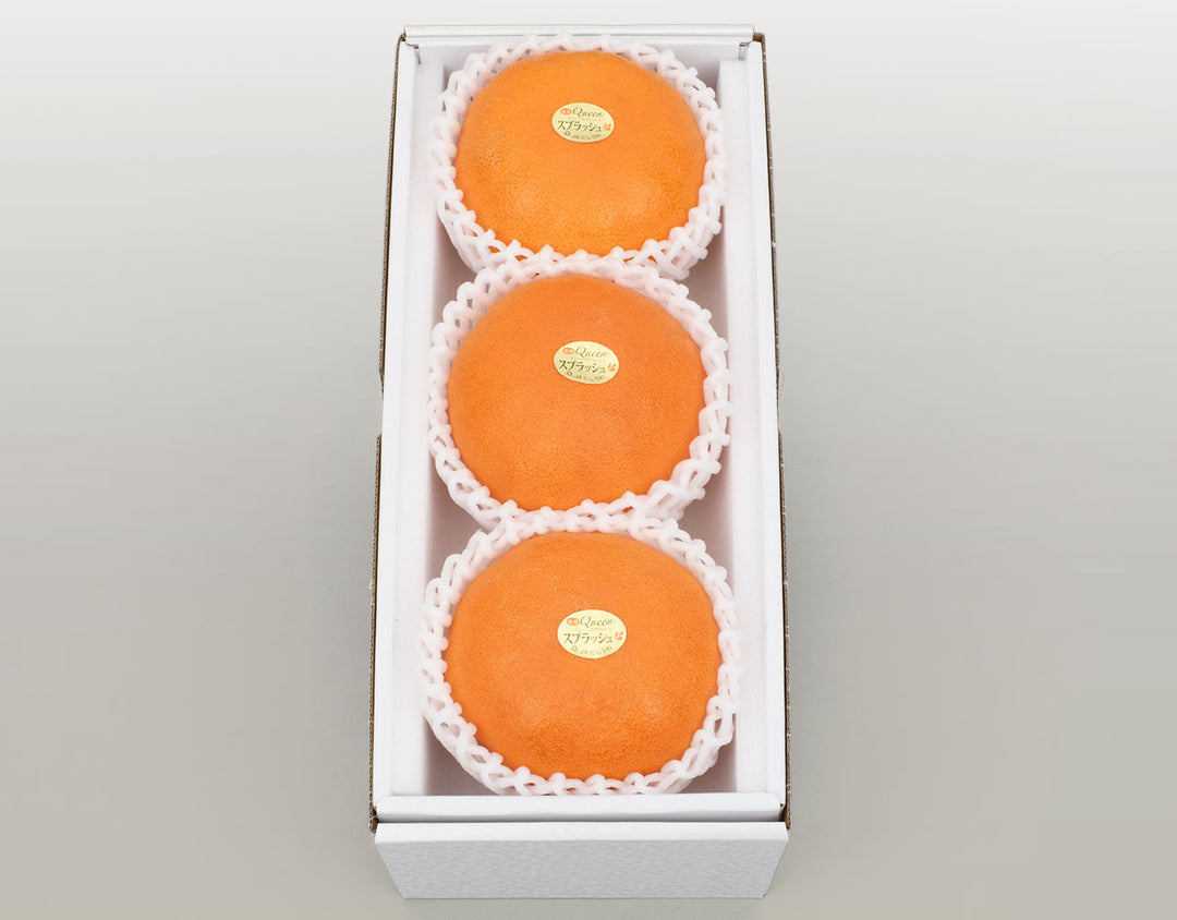 愛媛県産 Queenスプラッシュ 秀品 化粧箱 3玉