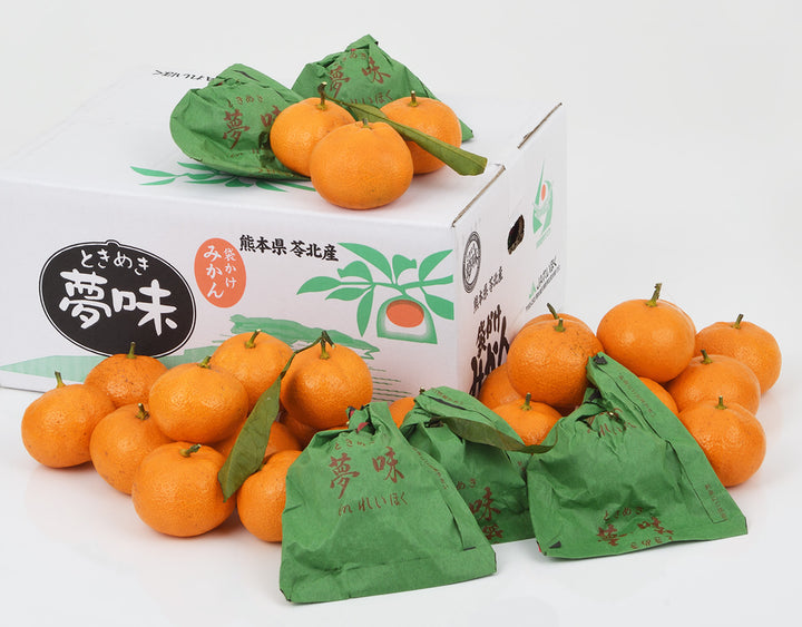 熊本県産 JAれいほく 袋掛けみかん 夢味 秀品 約3kg