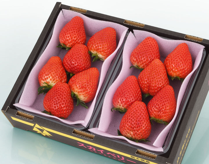 田村さんのスカイベリー G品 約260g×2（4粒～15粒）