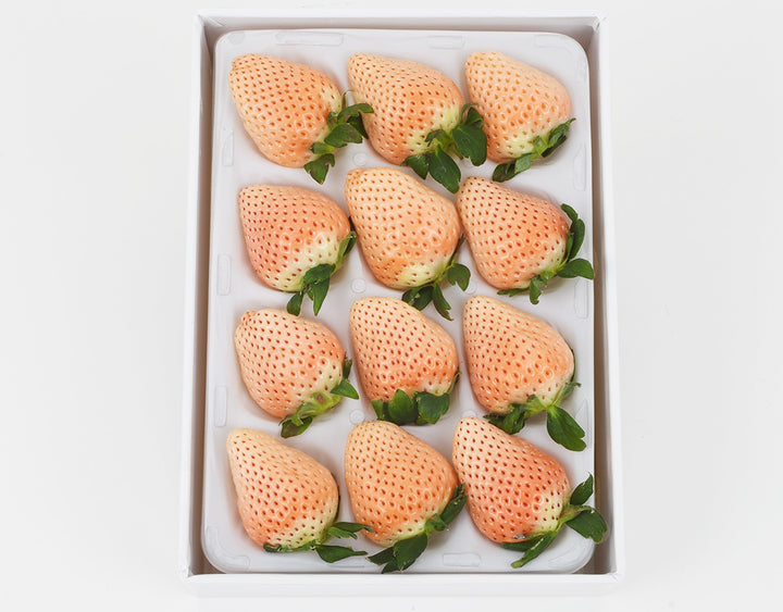 茨城県産 大場いちご園 淡雪いちご 約400g