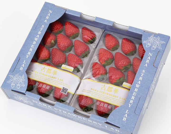 【お歳暮企画】奈良県産 大和奈良いちご倶楽部 古都華 約250g×2