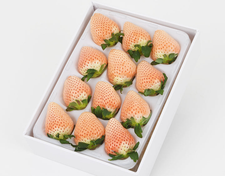 茨城県産 大場いちご園 淡雪いちご 約400g