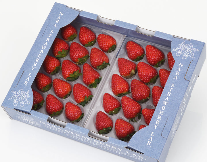 【お歳暮企画】奈良県産 大和奈良いちご倶楽部 古都華 約250g×2