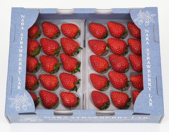 【お歳暮企画】奈良県産 大和奈良いちご倶楽部 古都華 約250g×2