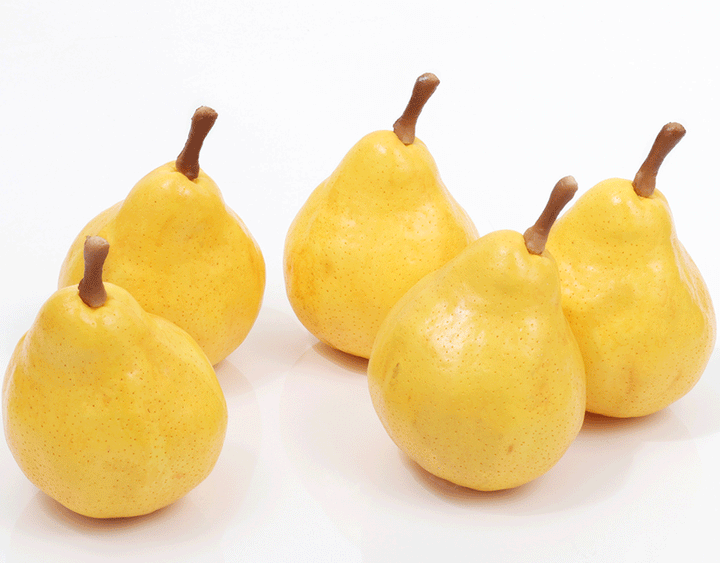 【お歳暮企画】新潟県産 ル・レクチェ 5~6玉（約2kg）