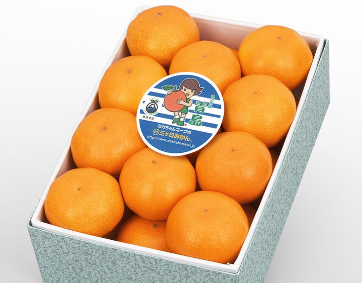 静岡県産 JAみっかび 三ケ日みかん 化粧箱 約2.5kg