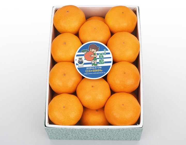 静岡県産 JAみっかび 三ケ日みかん 化粧箱 約2.5kg