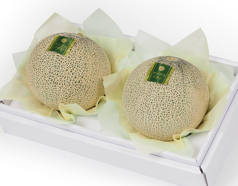 アンデスメロン 秀品 3Lサイズ 2玉 林フルーツ