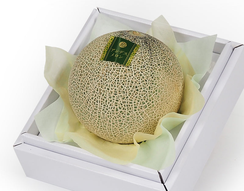 アンデスメロン 秀品 3Lサイズ 1玉