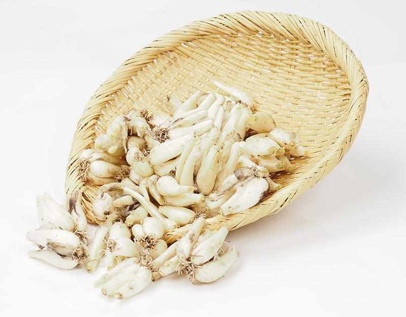 徳島県産 泥らっきょう 約5kg