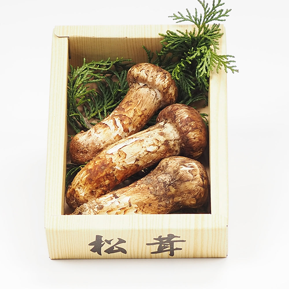 中国産 松茸 1パック 約100g – ハヤシフルーツ