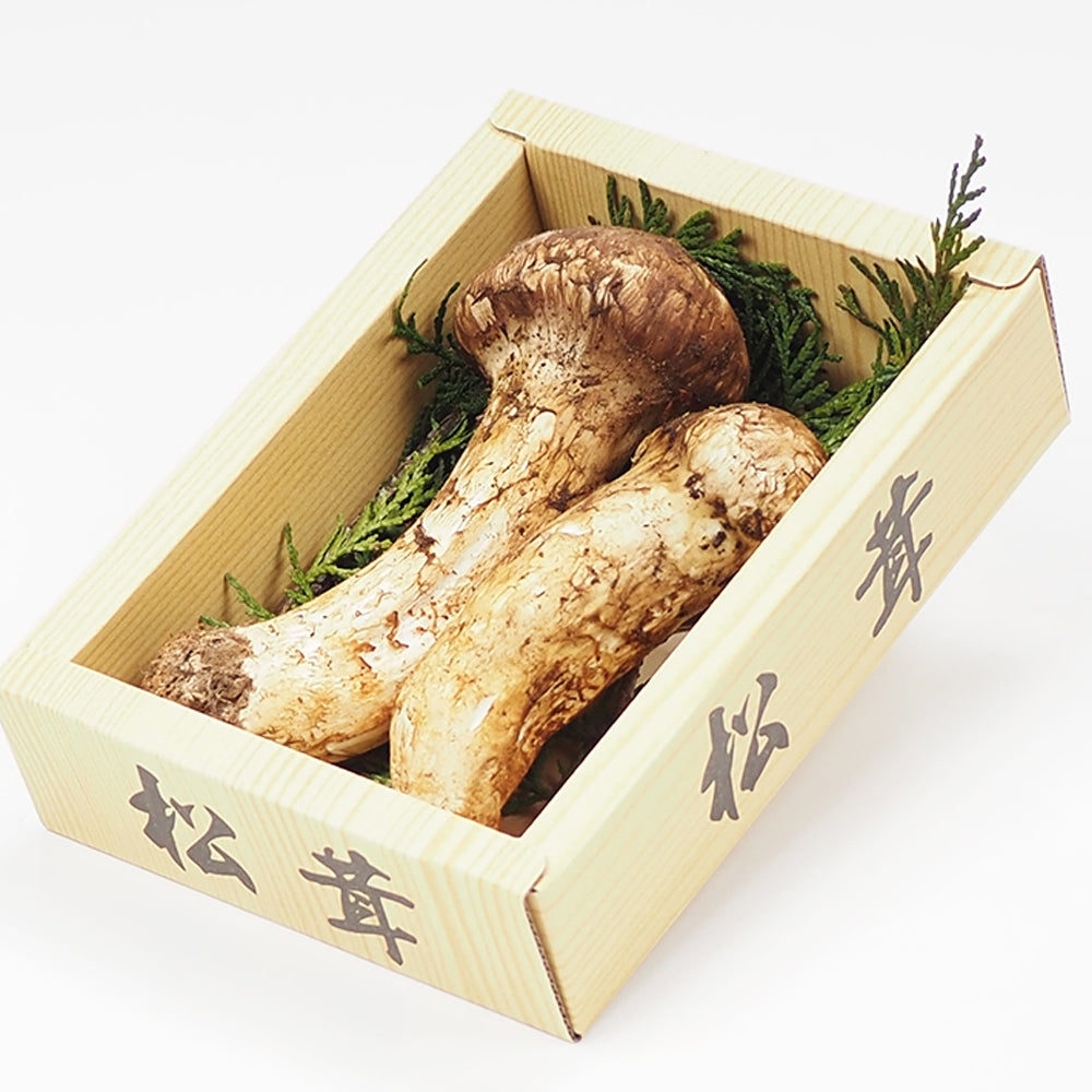 中国産 松茸 1パック 約100g – ハヤシフルーツ