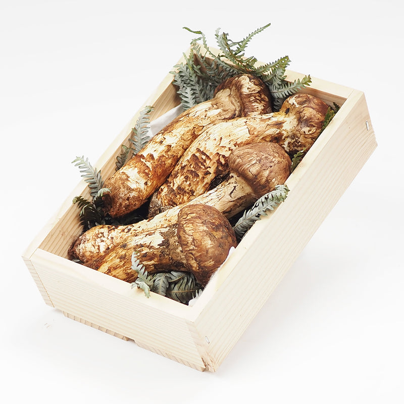 中国産  松茸 1パック 約300g