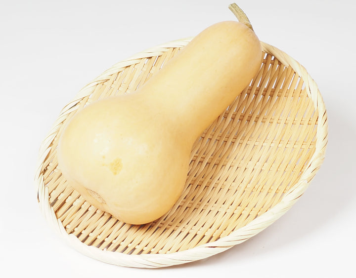 千葉県産 バターナッツかぼちゃ 約10kg(11～12個)