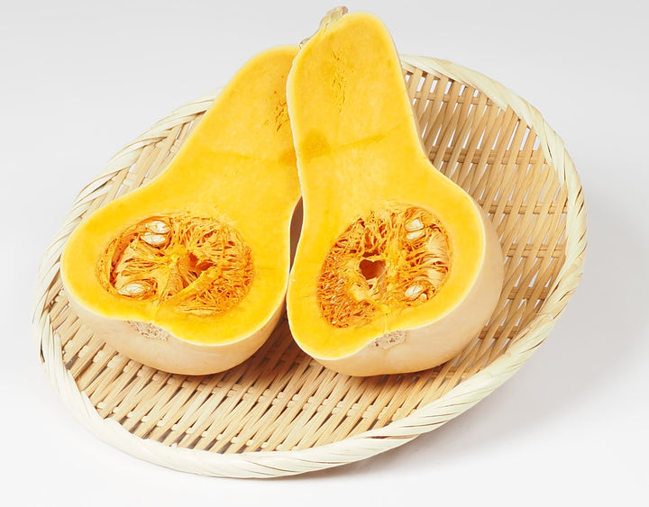 千葉県産 バターナッツかぼちゃ 約10kg(11～12個)