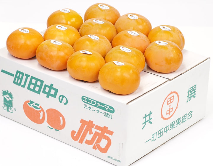 山梨県産 一町田中の富有柿 24玉~28玉 約7.5kg