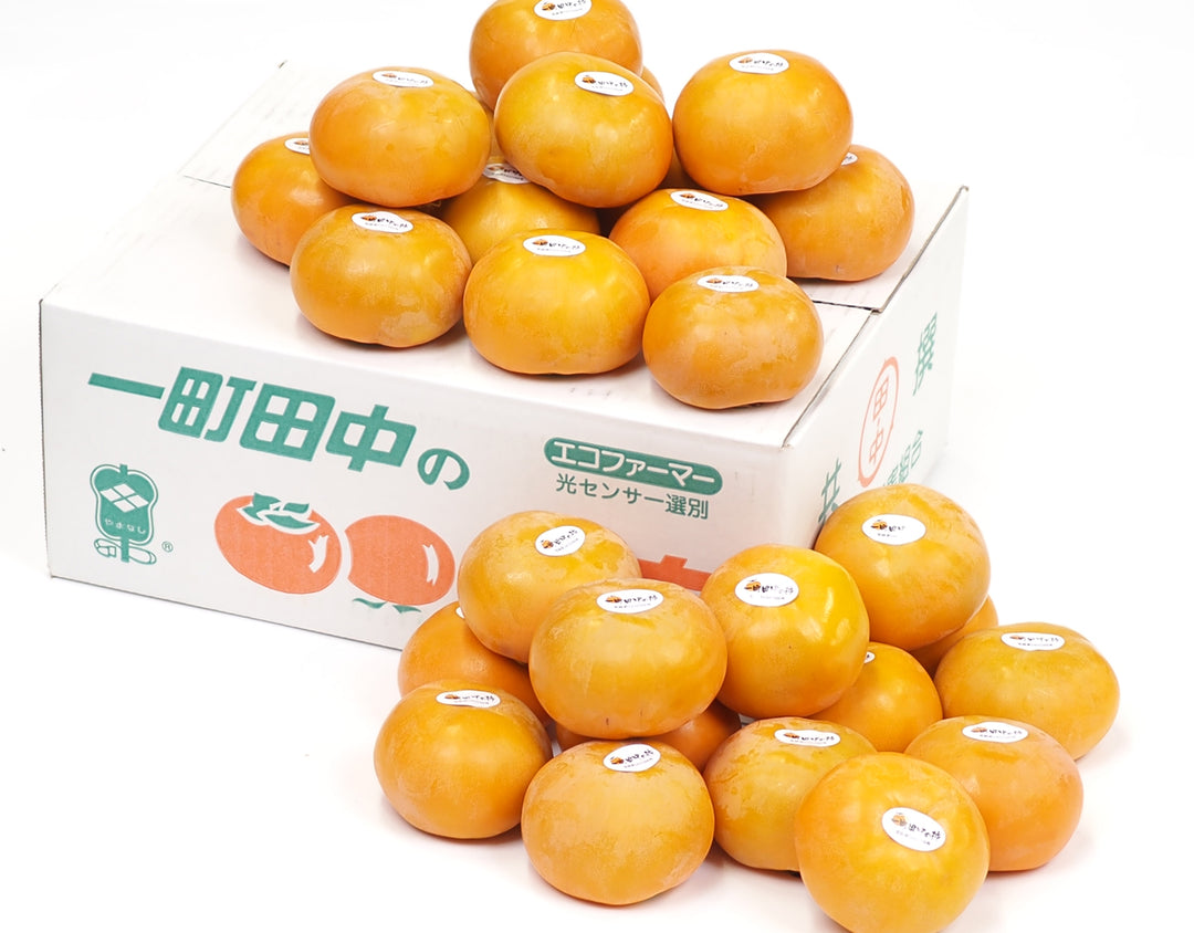山梨県産 一町田中の富有柿 24玉~28玉 約7.5kg