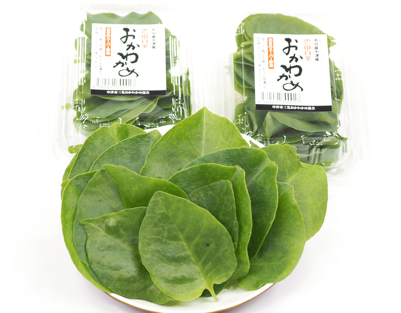 大分県産 おかわかめ 3パック – ハヤシフルーツ